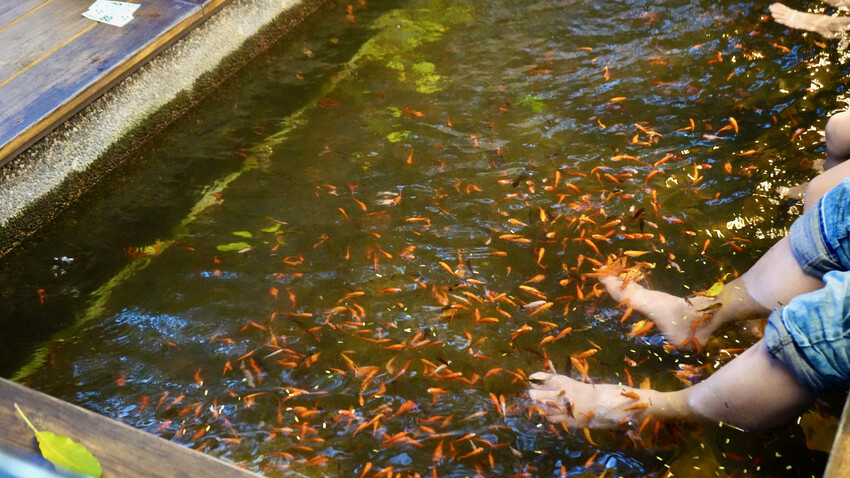 [宜蘭一日遊] 台灣好行「溫泉鄉饗宴輕旅」!一張票搞定吃喝玩樂～宜蘭旅遊套票推薦！