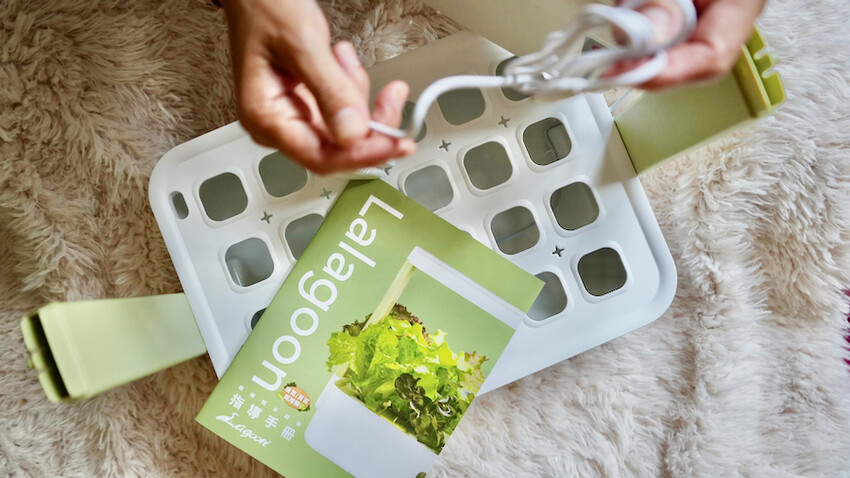 [開箱] lalagoon喇喇棍水耕機｜在家打造迷你菜園！實現新鮮蔬菜現採現吃的夢想