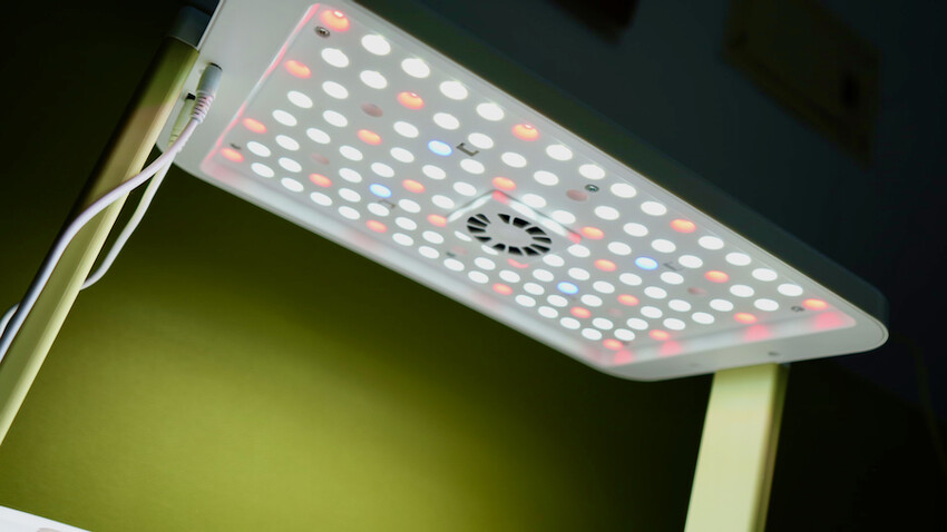 [開箱] lalagoon喇喇棍水耕機｜在家打造迷你菜園！實現新鮮蔬菜現採現吃的夢想