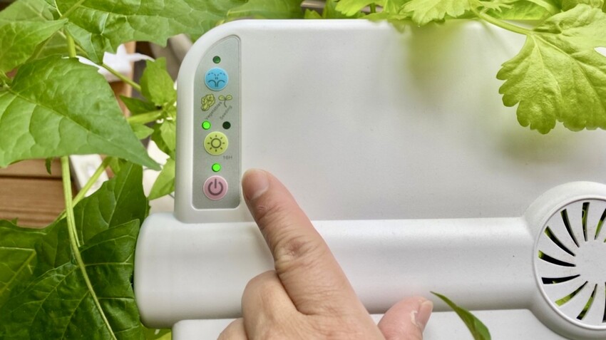 [開箱] lalagoon喇喇棍水耕機｜在家打造迷你菜園！實現新鮮蔬菜現採現吃的夢想