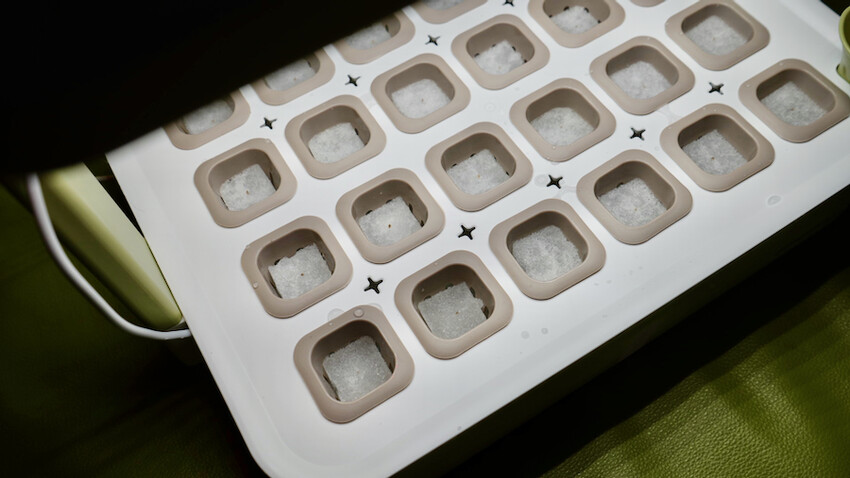 [開箱] lalagoon喇喇棍水耕機｜在家打造迷你菜園！實現新鮮蔬菜現採現吃的夢想