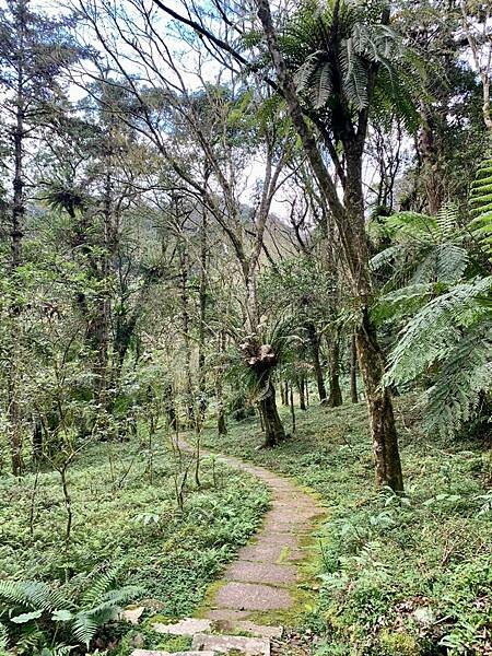 雲仙樂園 雲仙樂園
