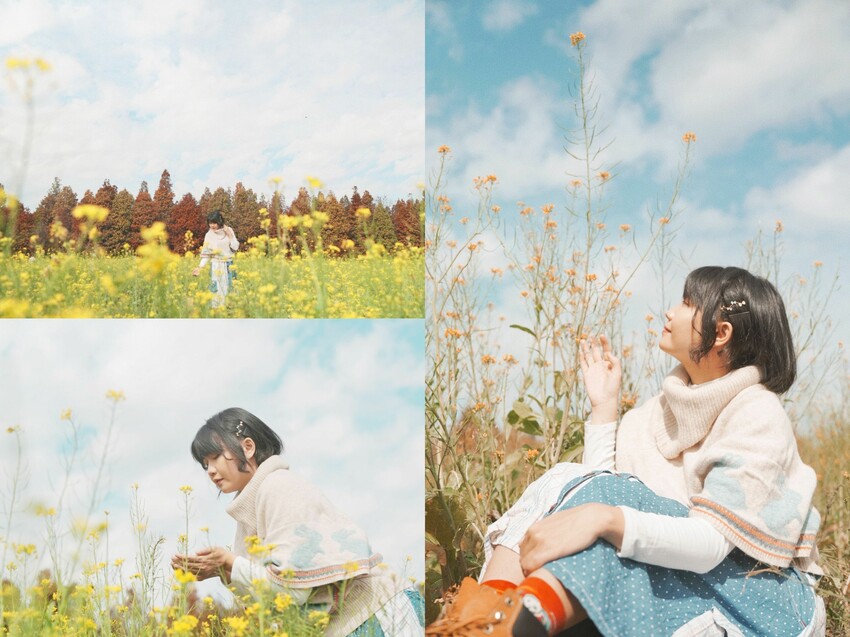 [彰化大村] 彰化大村落羽松秘境｜超大片落羽松Ｘ油菜花田超夢幻！免門票景點 - 萍姐愛分享