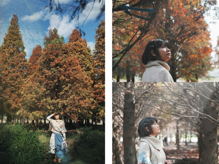 [彰化大村] 彰化大村落羽松秘境｜超大片落羽松Ｘ油菜花田超夢幻！免門票景點 - 萍姐愛分享