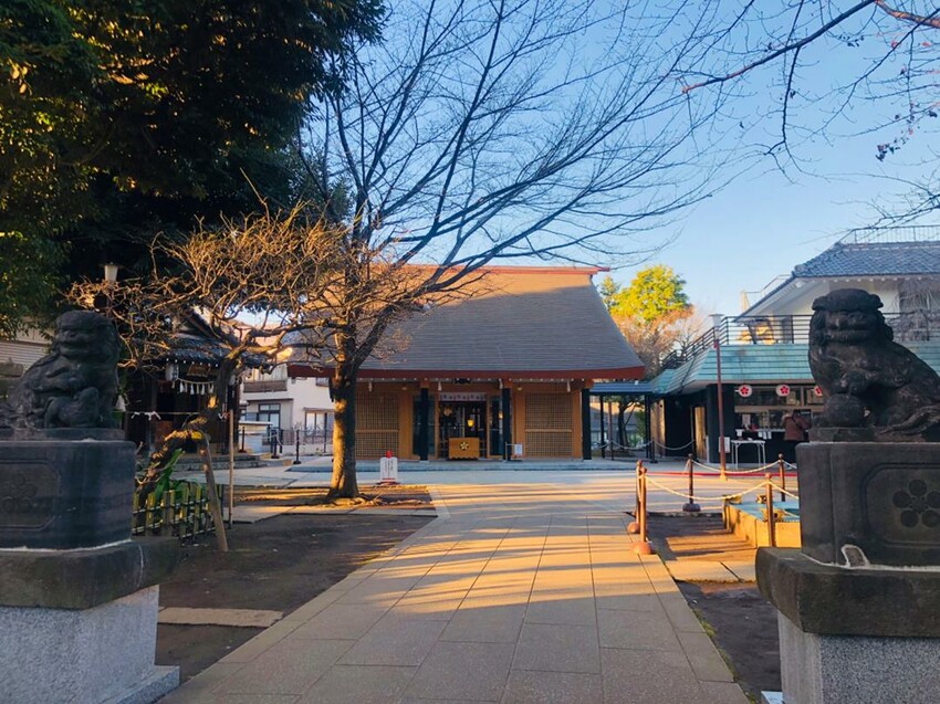 不只是宅宅聖地，還是隱藏版賞櫻花名所！東京中野一日遊全攻略