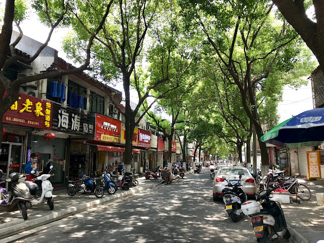 蘇州行-蘇州城內逛逛、北寺塔(報恩寺塔)與裕興記麵館