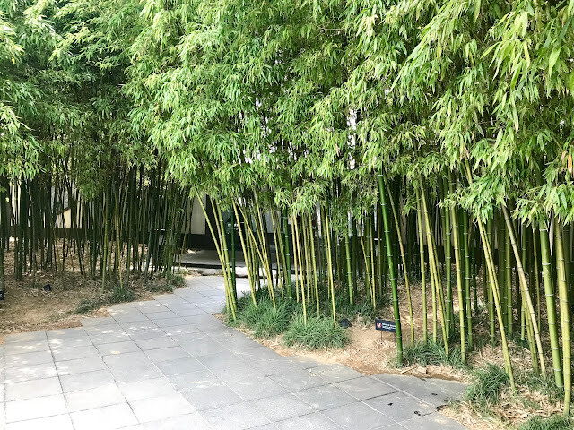 蘇州行-平江路，走在青石板路，感受千年江南氛圍