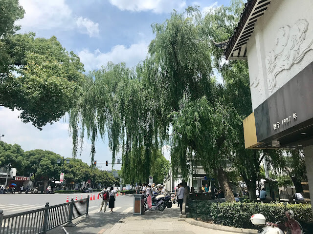 蘇州行-蘇州城內逛逛、北寺塔(報恩寺塔)與裕興記麵館