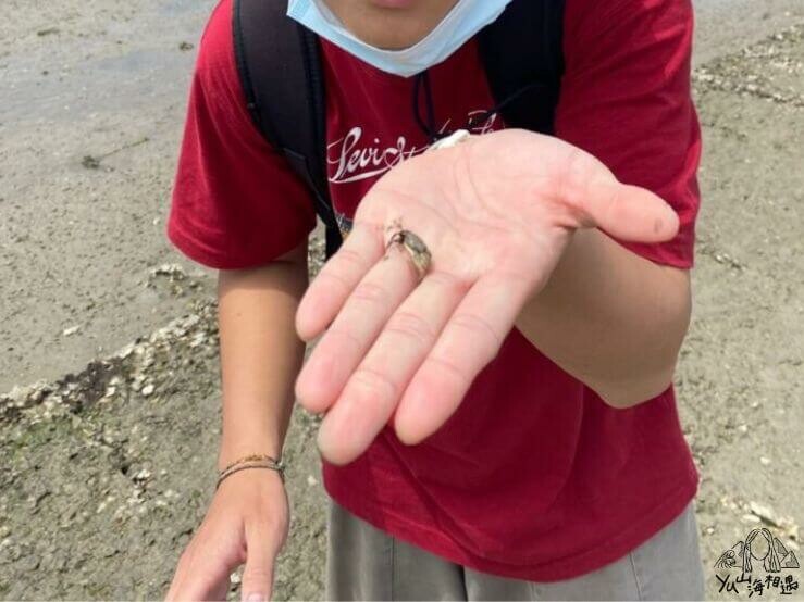 建功嶼｜金門退潮限定景點，充滿戰地風情的建功嶼 - YU山海相遇