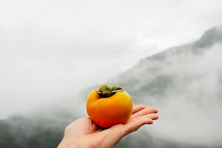 【桃園/中壢景點】情人節送禮免煩惱！大江購物中心市集好物一應俱全，盡享口福眼福，購好購滿購有食力！