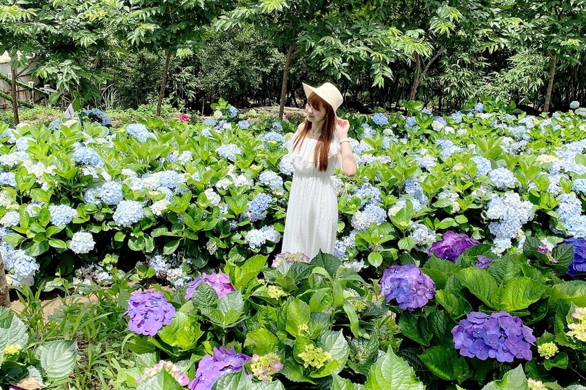 【桃園/中壢景點】情人節送禮免煩惱！大江購物中心市集好物一應俱全，盡享口福眼福，購好購滿購有食力！