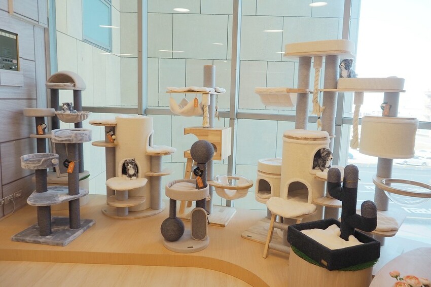 【桃園/中壢景點】情人節送禮免煩惱！大江購物中心市集好物一應俱全，盡享口福眼福，購好購滿購有食力！