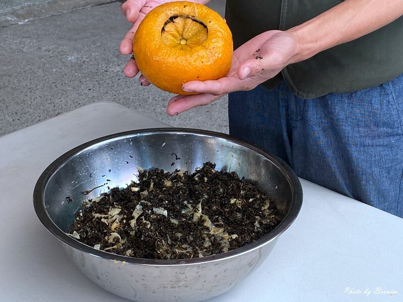 探索六龜原生山茶獨特茶香秘密與珍貴之處 @Bernice的隨手筆記