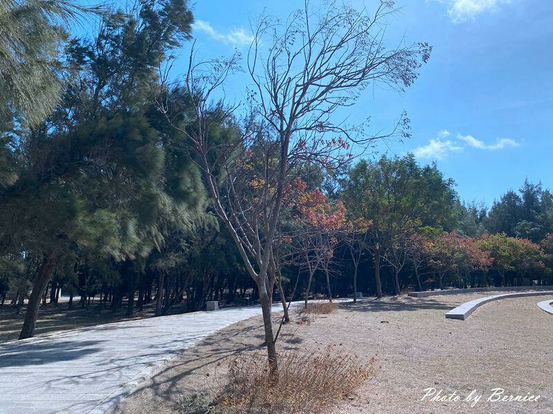 林投公園~澎湖本島上唯一廣大人造林綠地公園 @Bernice的隨手筆記