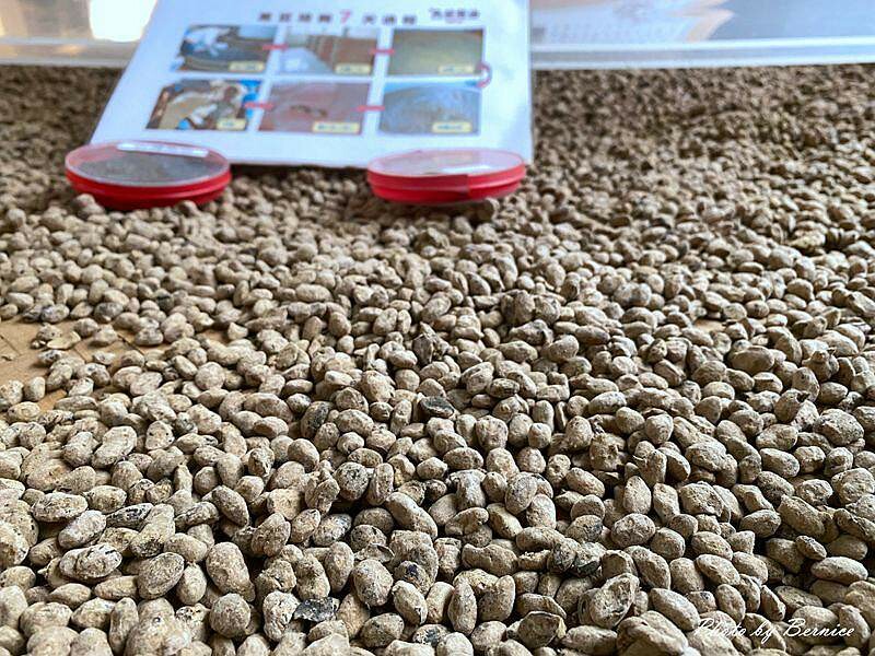 丸莊醬油觀光工廠~感受走過一世紀黑豆蔭油獨有的魅力 @Bernice的隨手筆記