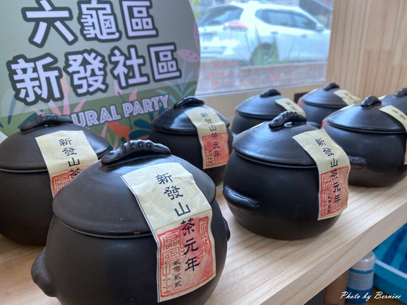 探索六龜原生山茶獨特茶香秘密與珍貴之處 @Bernice的隨手筆記