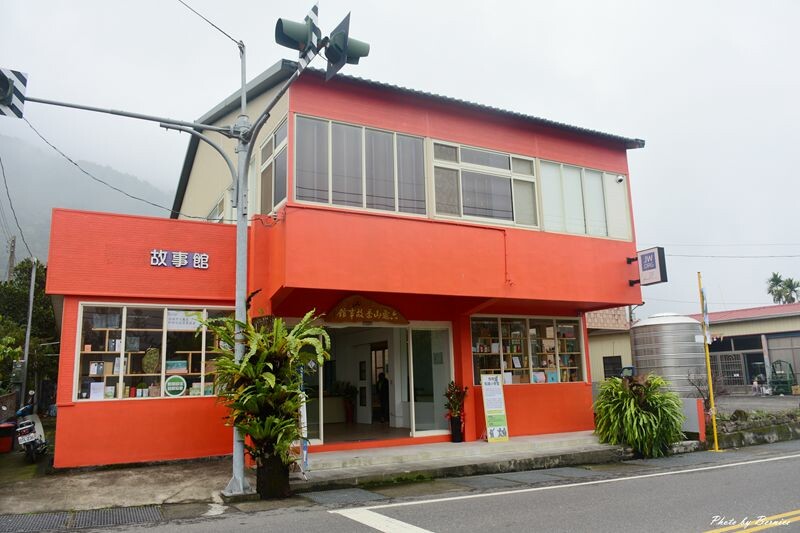 探索六龜原生山茶獨特茶香秘密與珍貴之處 @Bernice的隨手筆記