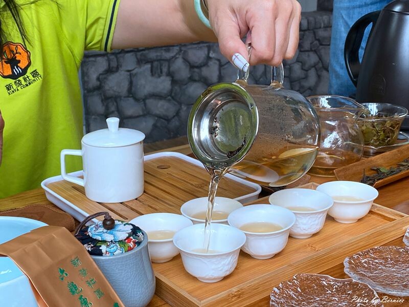 探索六龜原生山茶獨特茶香秘密與珍貴之處 @Bernice的隨手筆記