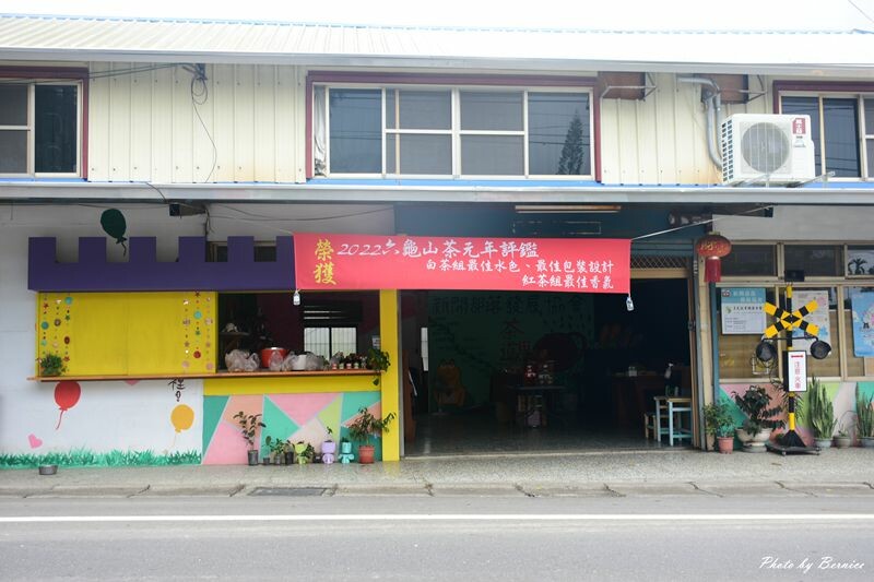 探索六龜原生山茶獨特茶香秘密與珍貴之處 @Bernice的隨手筆記