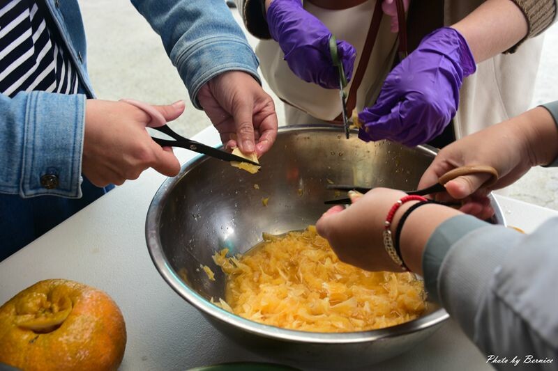 探索六龜原生山茶獨特茶香秘密與珍貴之處 @Bernice的隨手筆記