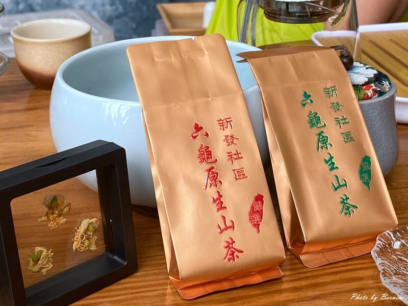 探索六龜原生山茶獨特茶香秘密與珍貴之處 @Bernice的隨手筆記