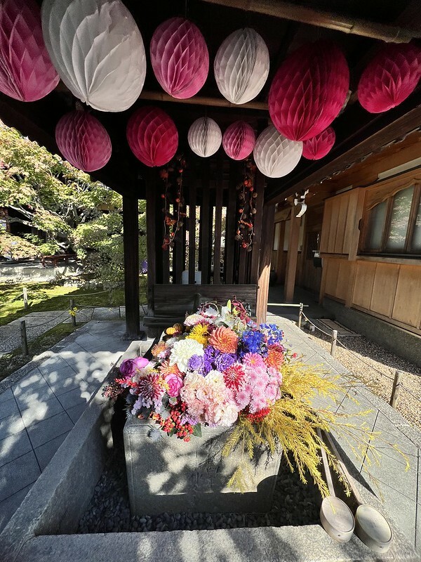 【亞洲，日本，京都】勝林寺（毘沙門堂勝林寺），超美的花手水舍，小巧的楓紅庭院，絕對是網美拍照聖地。（