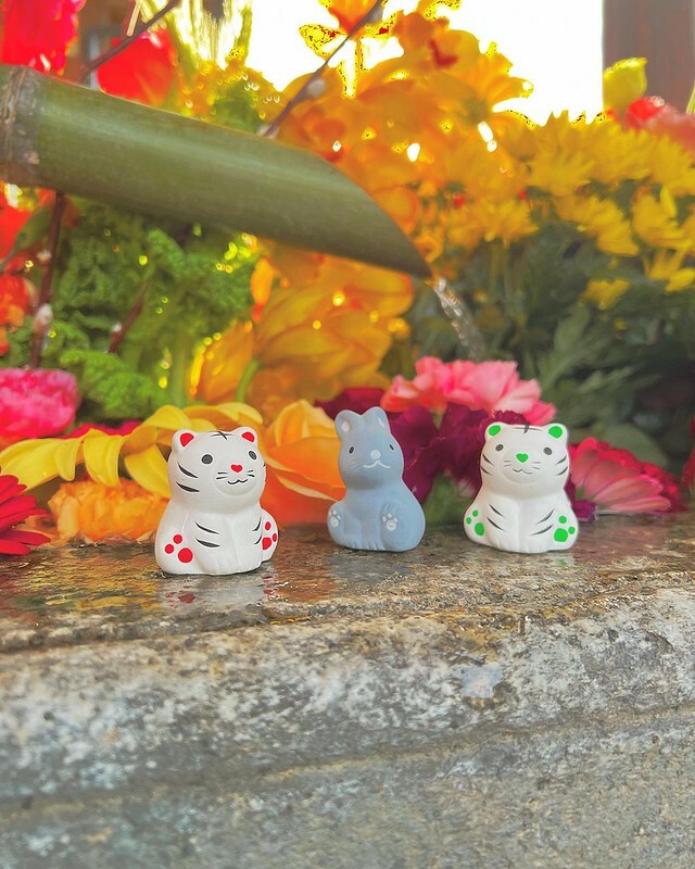 【亞洲，日本，京都】勝林寺（毘沙門堂勝林寺），超美的花手水舍，小巧的楓紅庭院，絕對是網美拍照聖地。（