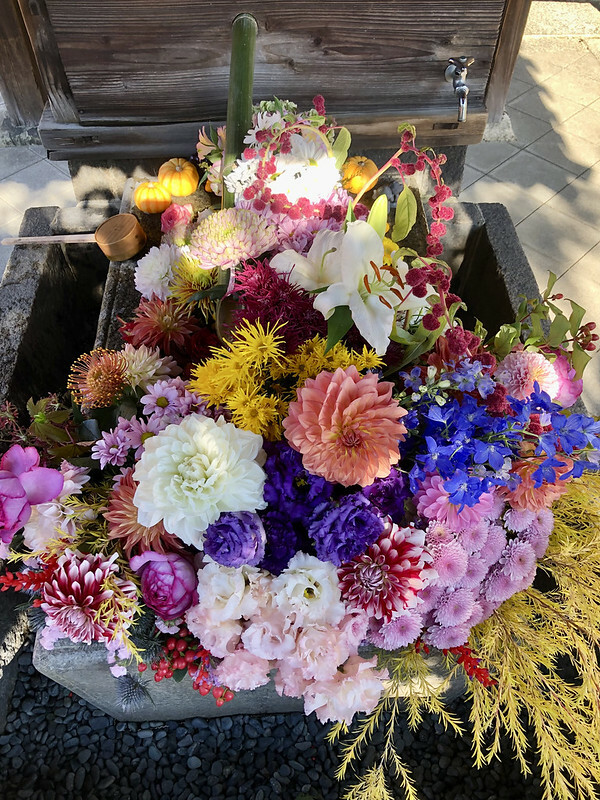 【亞洲，日本，京都】勝林寺（毘沙門堂勝林寺），超美的花手水舍，小巧的楓紅庭院，絕對是網美拍照聖地。（