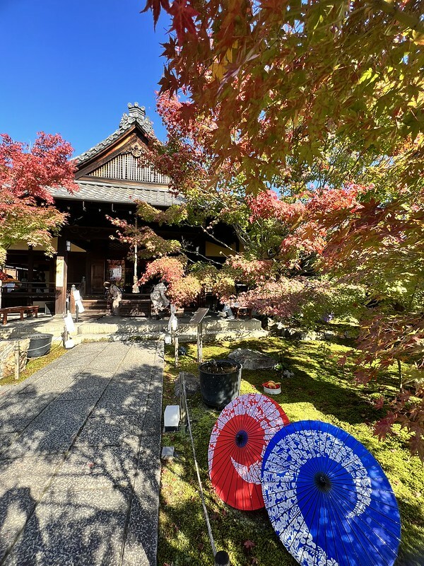 【亞洲，日本，京都】勝林寺（毘沙門堂勝林寺），超美的花手水舍，小巧的楓紅庭院，絕對是網美拍照聖地。（