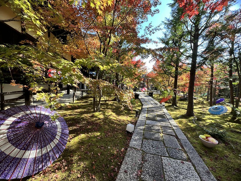 【亞洲，日本，京都】勝林寺（毘沙門堂勝林寺），超美的花手水舍，小巧的楓紅庭院，絕對是網美拍照聖地。（