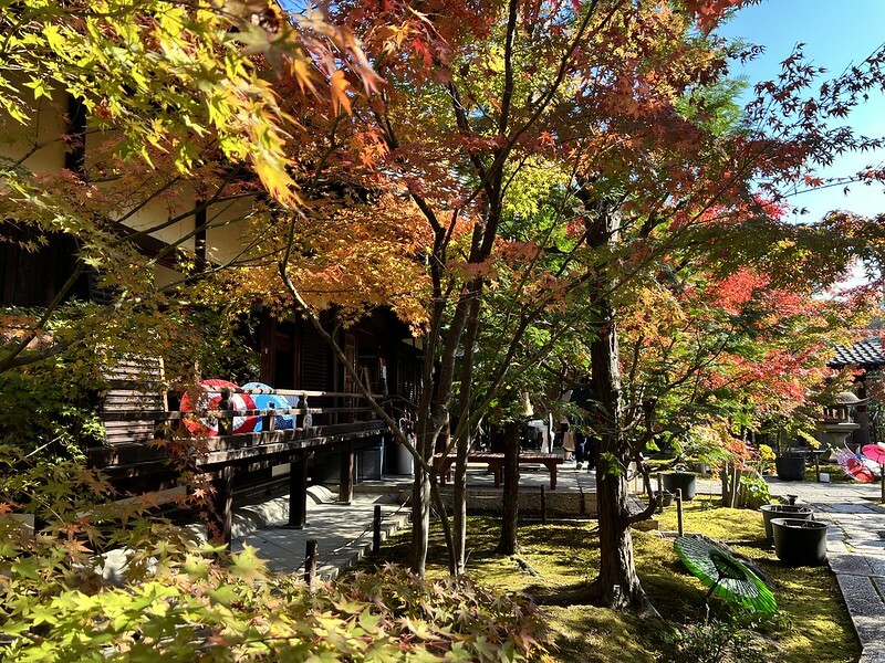 【亞洲，日本，京都】勝林寺（毘沙門堂勝林寺），超美的花手水舍，小巧的楓紅庭院，絕對是網美拍照聖地。（