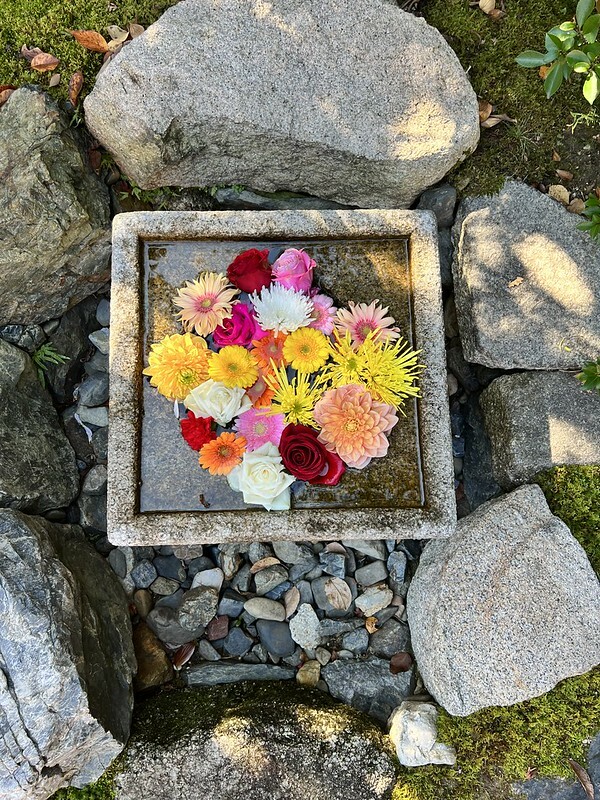 【亞洲，日本，京都】勝林寺（毘沙門堂勝林寺），超美的花手水舍，小巧的楓紅庭院，絕對是網美拍照聖地。（