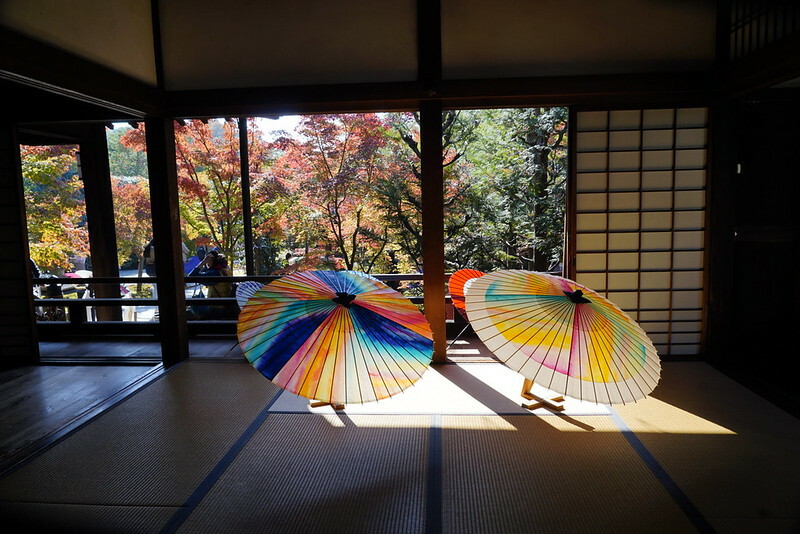 【亞洲，日本，京都】勝林寺（毘沙門堂勝林寺），超美的花手水舍，小巧的楓紅庭院，絕對是網美拍照聖地。（