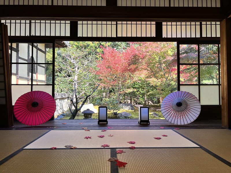 【亞洲，日本，京都】勝林寺（毘沙門堂勝林寺），超美的花手水舍，小巧的楓紅庭院，絕對是網美拍照聖地。（