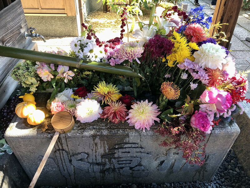 【亞洲，日本，京都】勝林寺（毘沙門堂勝林寺），超美的花手水舍，小巧的楓紅庭院，絕對是網美拍照聖地。（