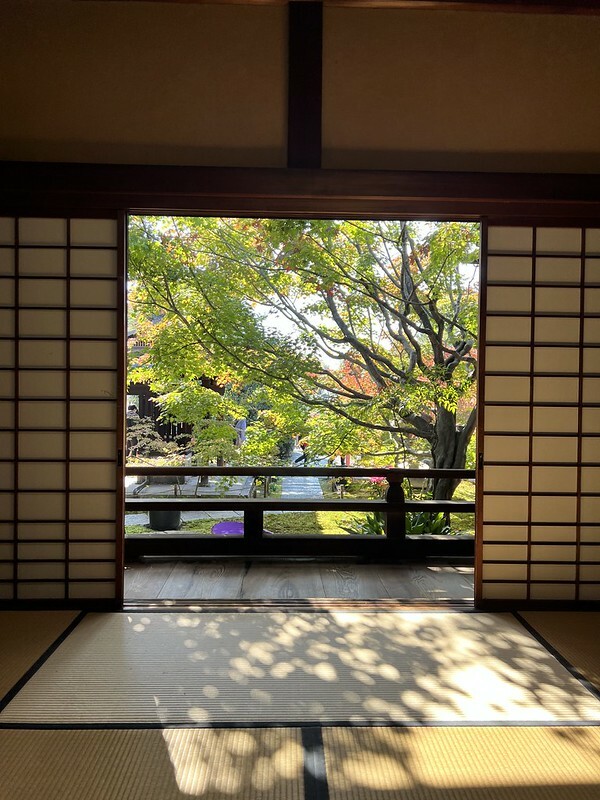 【亞洲，日本，京都】勝林寺（毘沙門堂勝林寺），超美的花手水舍，小巧的楓紅庭院，絕對是網美拍照聖地。（