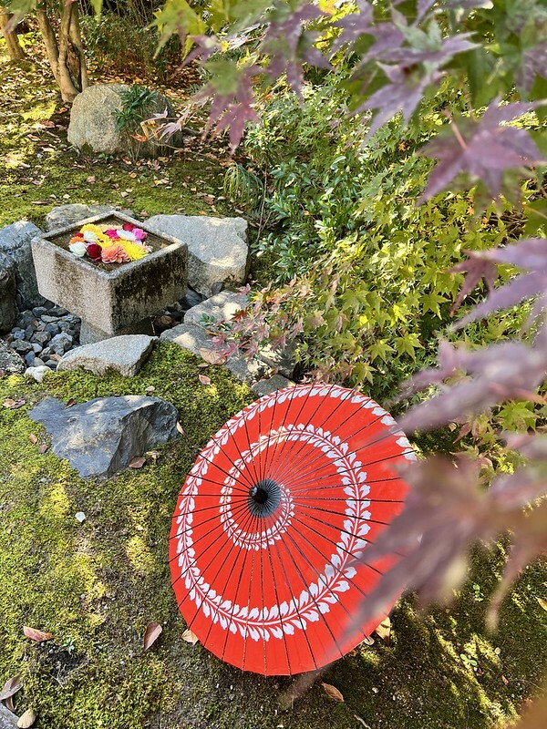 【亞洲，日本，京都】勝林寺（毘沙門堂勝林寺），超美的花手水舍，小巧的楓紅庭院，絕對是網美拍照聖地。（
