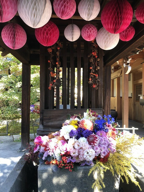 【亞洲，日本，京都】勝林寺（毘沙門堂勝林寺），超美的花手水舍，小巧的楓紅庭院，絕對是網美拍照聖地。（