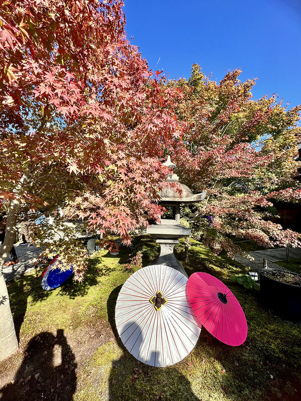 【亞洲，日本，京都】勝林寺（毘沙門堂勝林寺），超美的花手水舍，小巧的楓紅庭院，絕對是網美拍照聖地。（