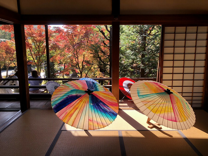 【亞洲，日本，京都】勝林寺（毘沙門堂勝林寺），超美的花手水舍，小巧的楓紅庭院，絕對是網美拍照聖地。（