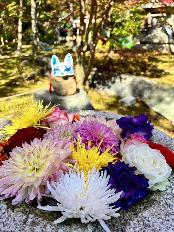 【亞洲，日本，京都】勝林寺（毘沙門堂勝林寺），超美的花手水舍，小巧的楓紅庭院，絕對是網美拍照聖地。（
