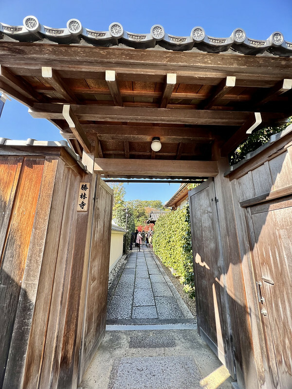 【亞洲，日本，京都】勝林寺（毘沙門堂勝林寺），超美的花手水舍，小巧的楓紅庭院，絕對是網美拍照聖地。（