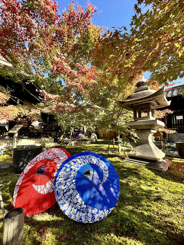 【亞洲，日本，京都】勝林寺（毘沙門堂勝林寺），超美的花手水舍，小巧的楓紅庭院，絕對是網美拍照聖地。（