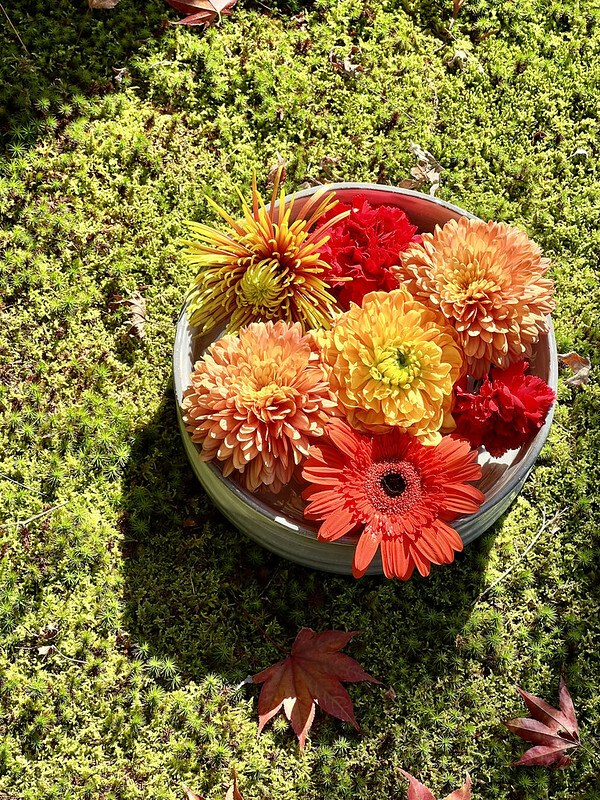 【亞洲，日本，京都】勝林寺（毘沙門堂勝林寺），超美的花手水舍，小巧的楓紅庭院，絕對是網美拍照聖地。（