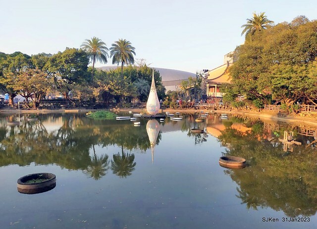 國父紀念館賞河津櫻(Prunus lannesiana cv. Kawazu-zakura at Sun Yat-Sen Memorial Hall), Taipei , Taiwan, SJKen, Jan 31, 2023.