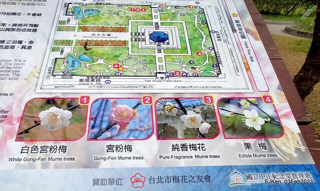 「中正紀念堂賞宮粉梅」 ( Flowering Apricots at CKS Memorial Hall), SJKen, Taipei, Taiwan, Feb 3. 2023 )