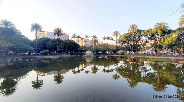 國父紀念館賞河津櫻(Prunus lannesiana cv. Kawazu-zakura at Sun Yat-Sen Memorial Hall), Taipei , Taiwan, SJKen, Jan 31, 2023.