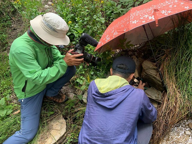 The Movie posters and stills of Taiwan record movie 紀錄片電影新作《山椒魚來了》(Good Morie MIT) is lauching from Feb 10, 2023 onwards in Taiwan.