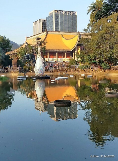 國父紀念館賞河津櫻(Prunus lannesiana cv. Kawazu-zakura at Sun Yat-Sen Memorial Hall), Taipei , Taiwan, SJKen, Jan 31, 2023.