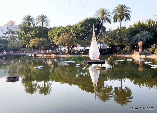 國父紀念館賞河津櫻(Prunus lannesiana cv. Kawazu-zakura at Sun Yat-Sen Memorial Hall), Taipei , Taiwan, SJKen, Jan 31, 2023.